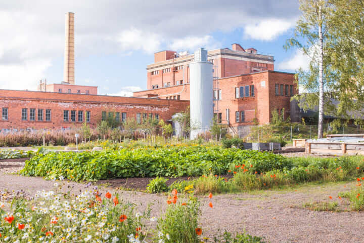 Hiedanranta, Tampere. Kuva: Laura Vanzo, Visit Tampere