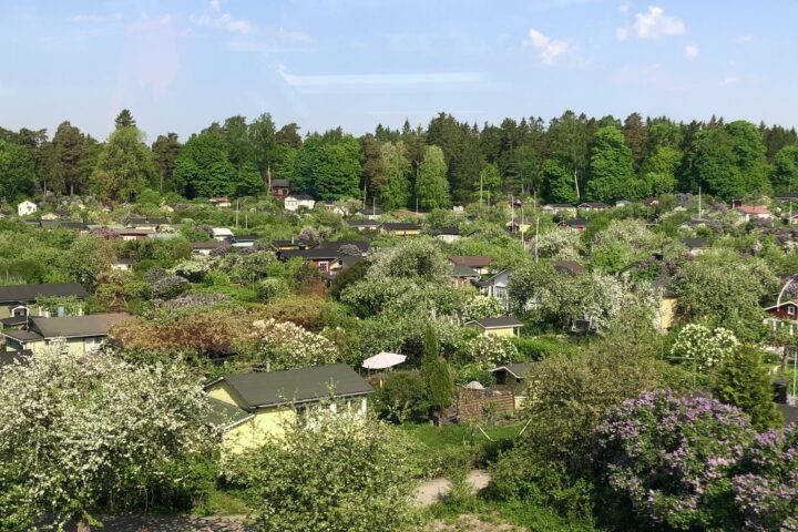 Herttoniemen siirtolapuutarha